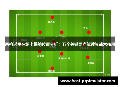 西格诺里在场上踢的位置分析：五个关键要点解读其战术作用