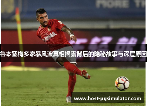 鲁本塞梅多家暴风波真相揭露背后的隐秘故事与深层原因